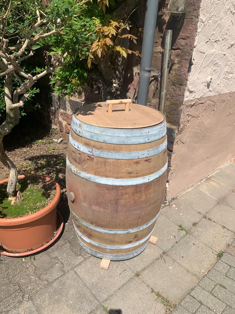Weinfass als Regentonne