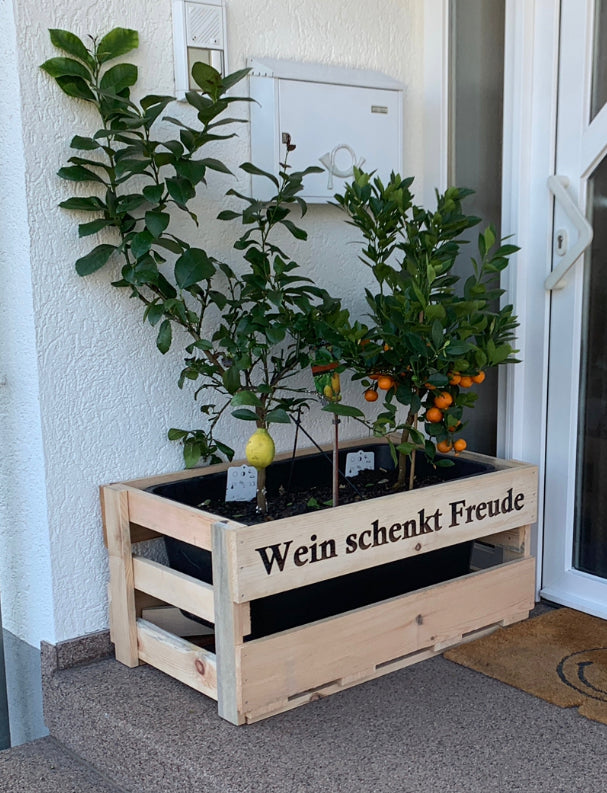 XXL Weinkiste für Dekorationszwecke