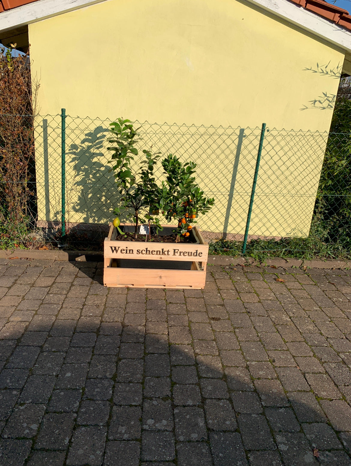 XXL Weinkiste für Dekorationszwecke