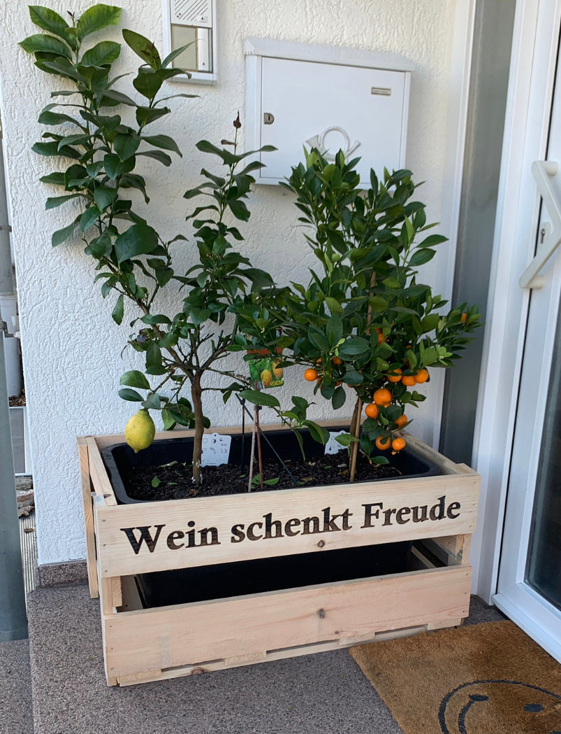 XXL Weinkiste für Dekorationszwecke