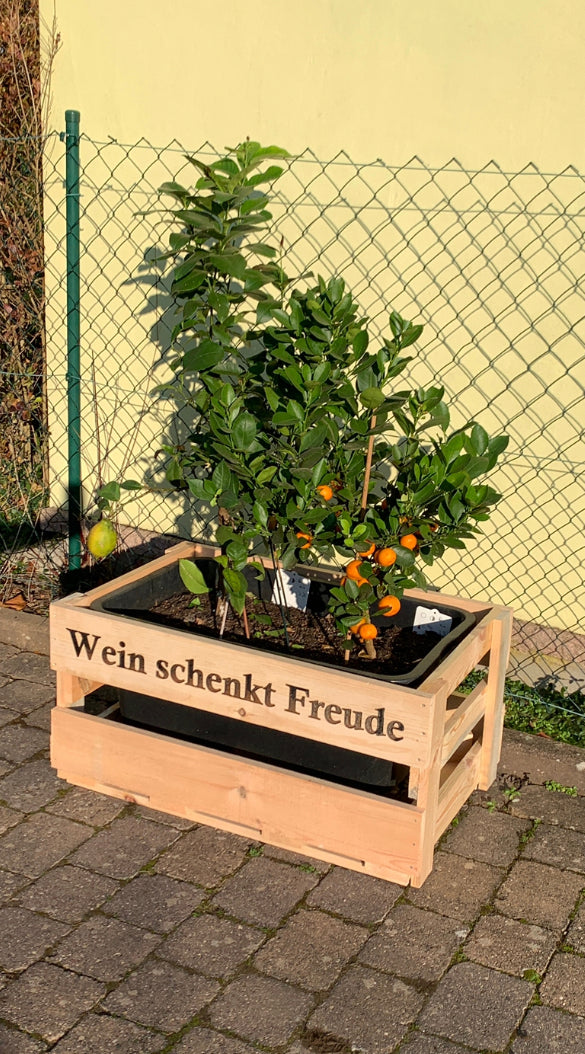 XXL Weinkiste für Dekorationszwecke