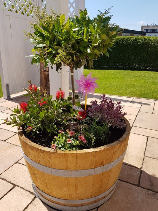Blumenkübel aus Wein- und Whiskeyfässern