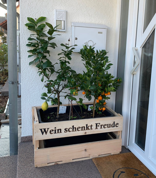 XXL Weinkiste für Dekorationszwecke